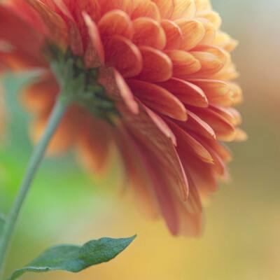 天博tb·体育综合官方网站